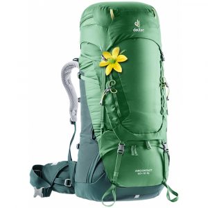 Deuter Aircontact 60 + 10 SL leaf-forest